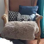 Buky Palace
