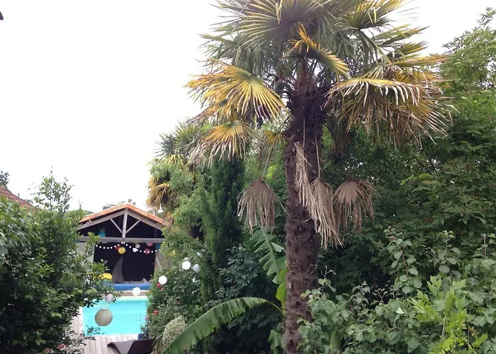 Buky Palace منزل للإقامة *